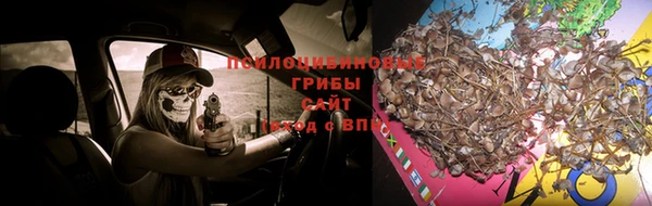 марки nbome Богородск