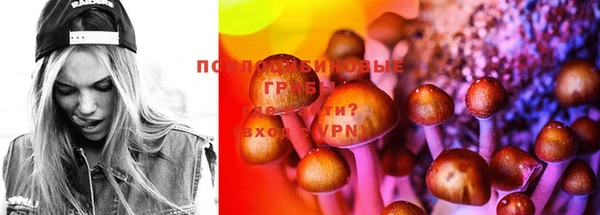 PSILOCYBIN Богданович