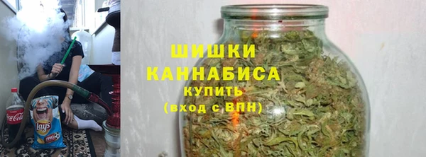 PSILOCYBIN Богданович