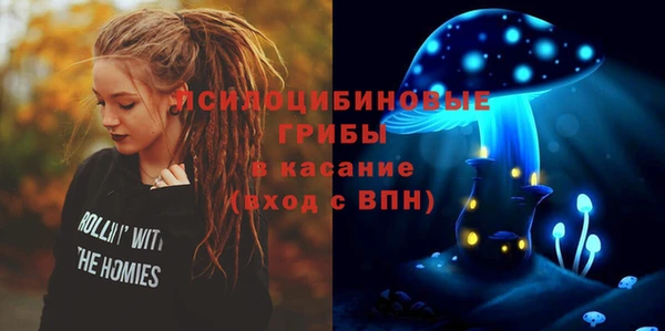 не бодяженный Богородицк