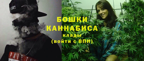 2c-b Белокуриха