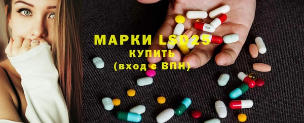 PSILOCYBIN Богданович